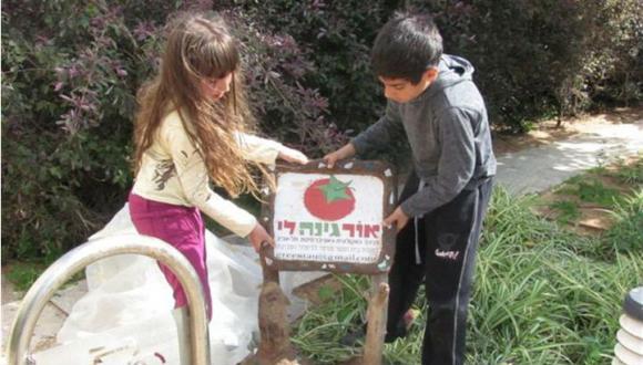 הגינה האקולוגית באוניברסיטת תל-אביב